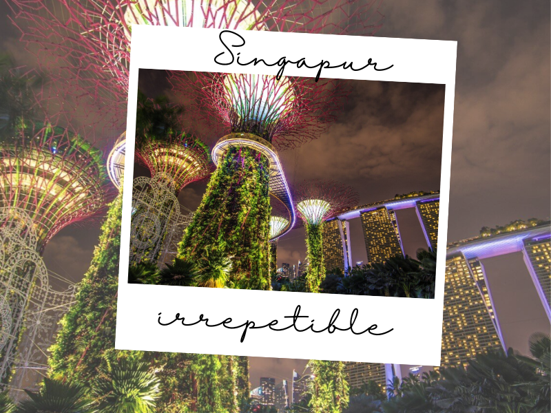 GUIA DE VIAJE SIN GLUTEN&nbsp;SINGAPUR